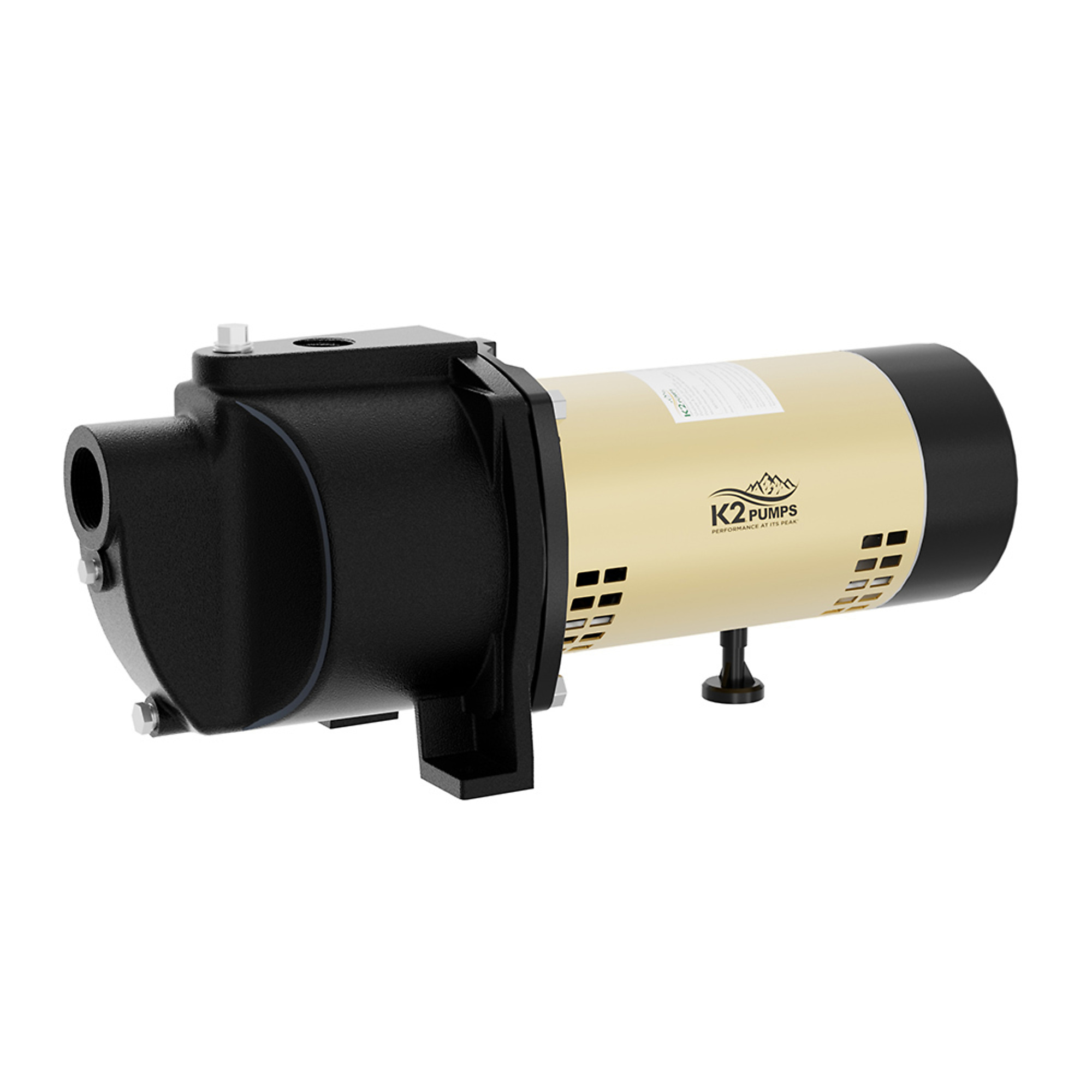 K2 PRO 3/4 HP Cast Iron Shallow Well Jet Pump, Max. Flow 1170 GPH, Port Size 1 in, Model# WPS07504K